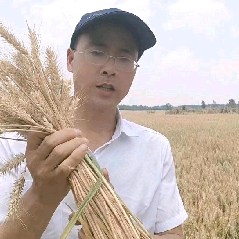赵哥小号