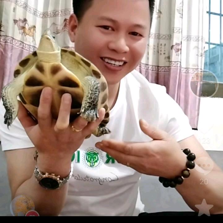 中华，陈