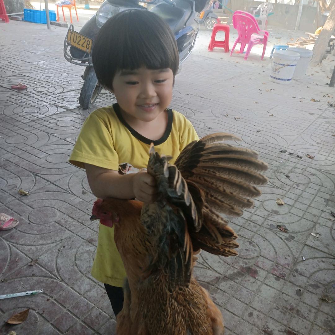 机会永远都是属于奋斗的人