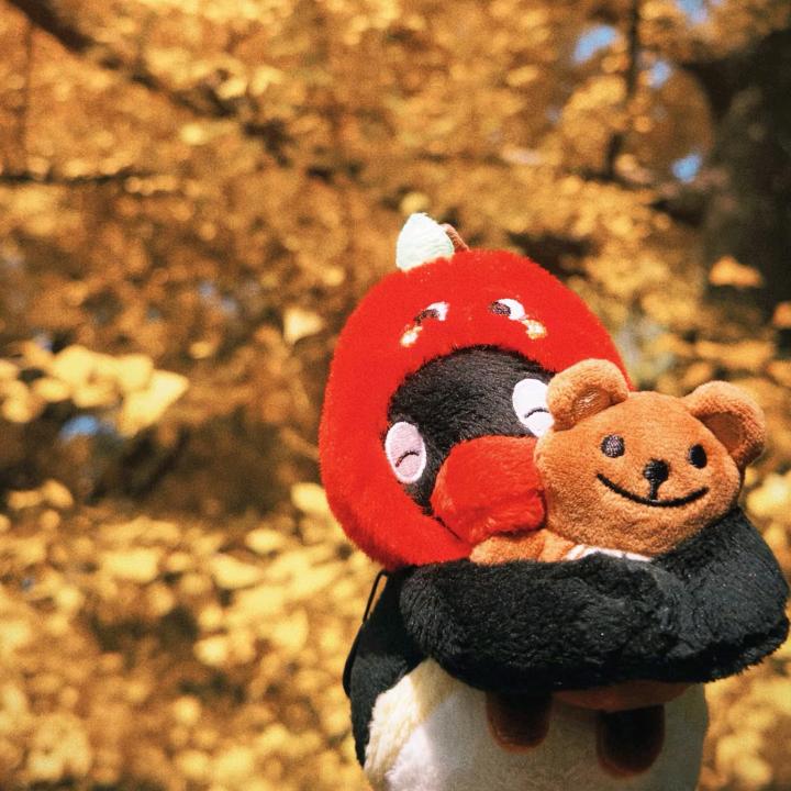 小星星亮晶晶🌟