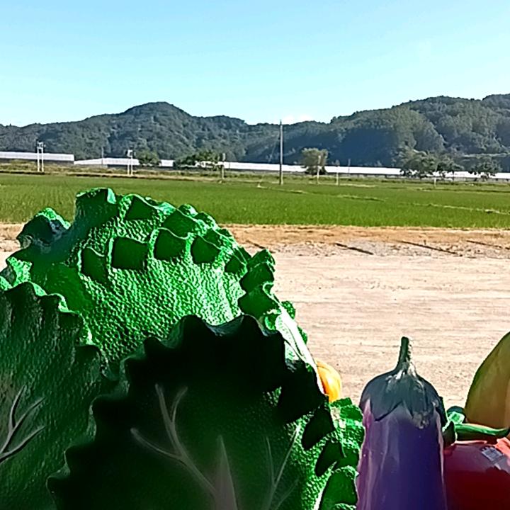 超品茶业🍀