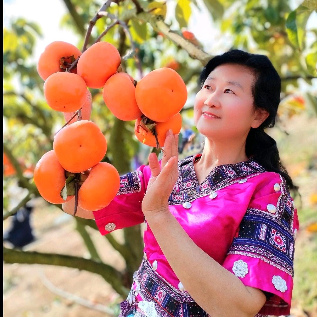 清逸特效