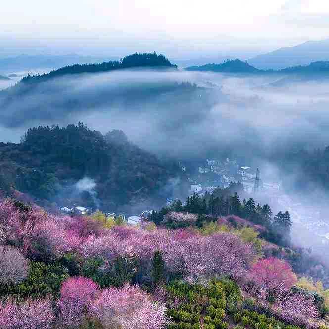觅雨