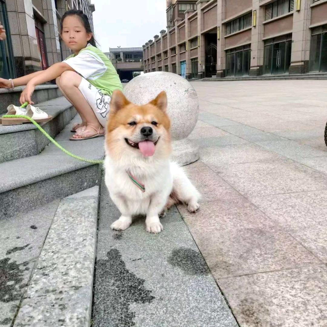 方小太小成