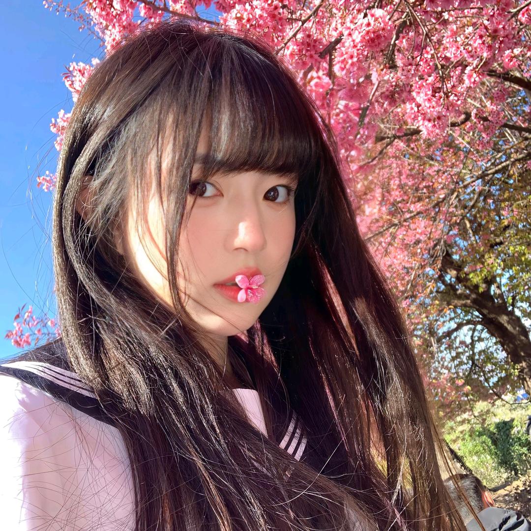 🌺🌺🌺