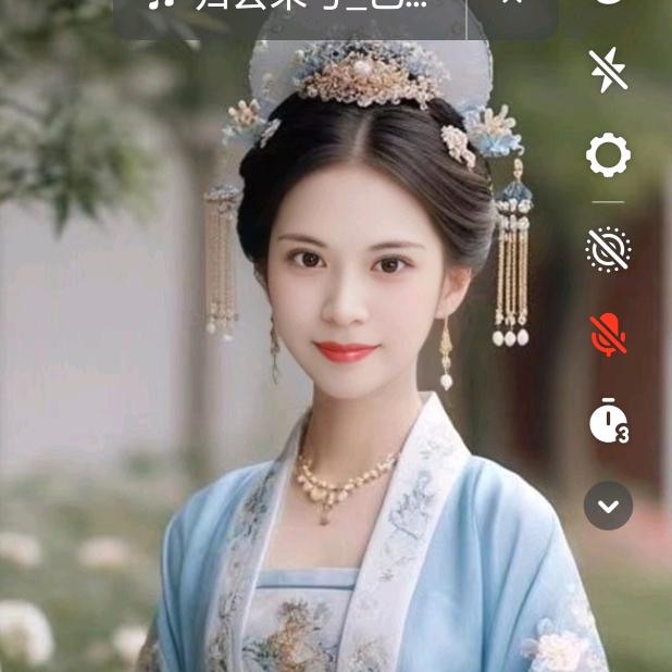 布布W