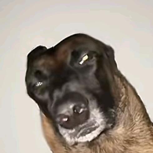 苦修三千年套狗