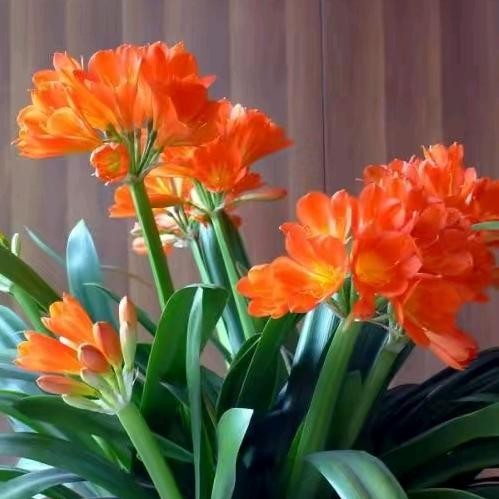 南阳市糖源健康咨询服务有限公司