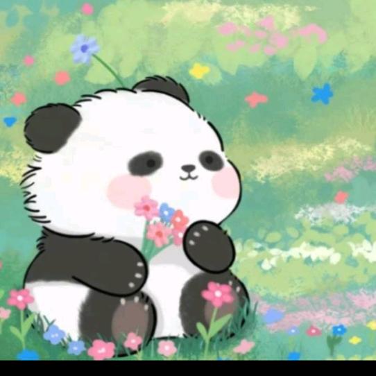 乔乔🐼