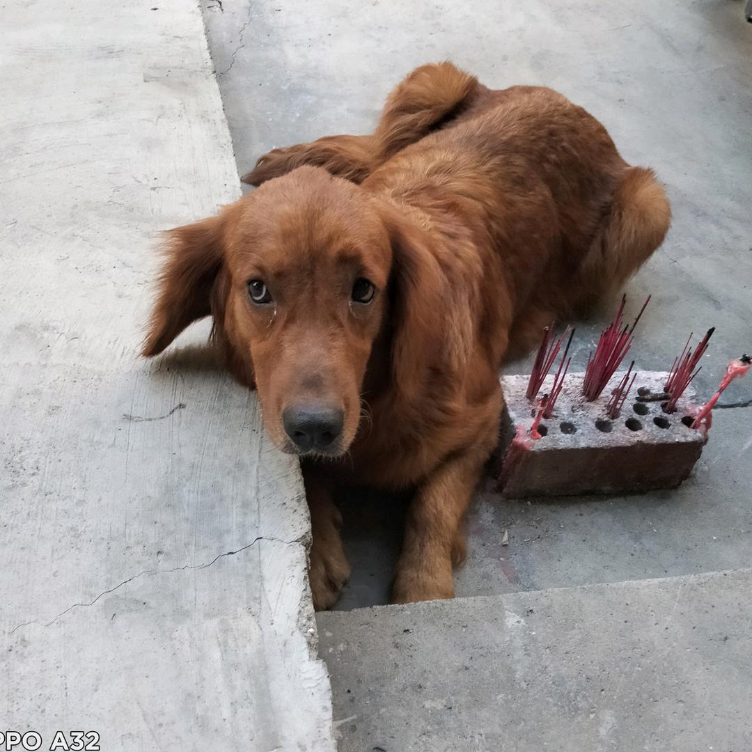 微弱的暗光头像