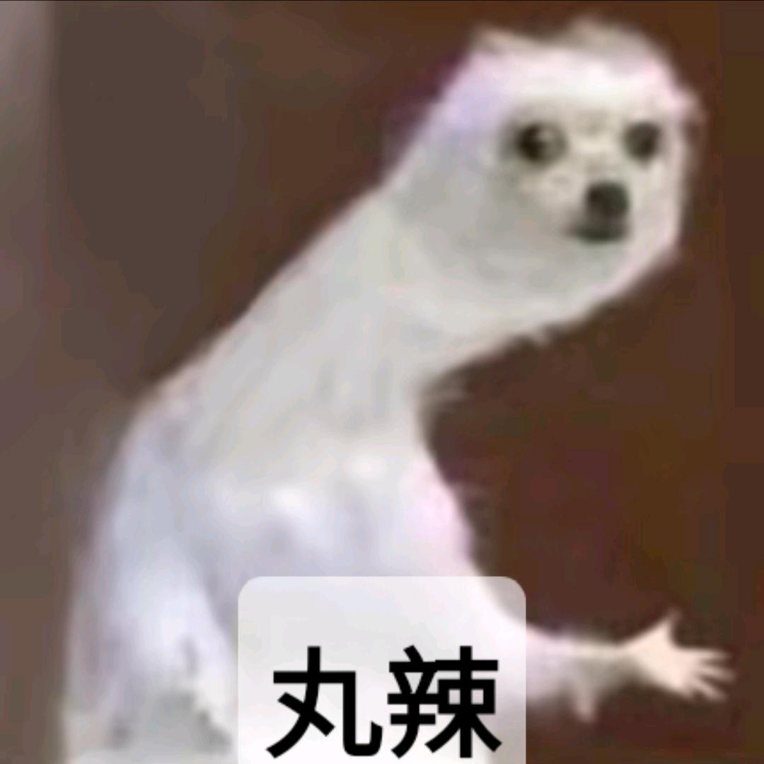 想喝奶茶🧋