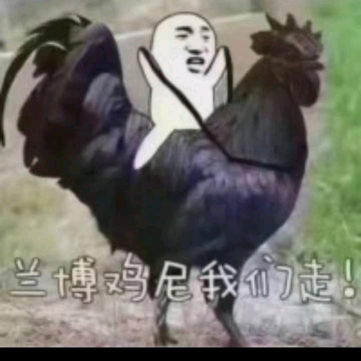一段往事