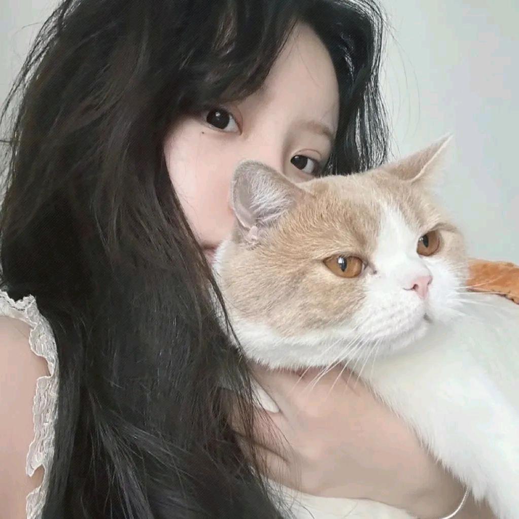 高怼怼
