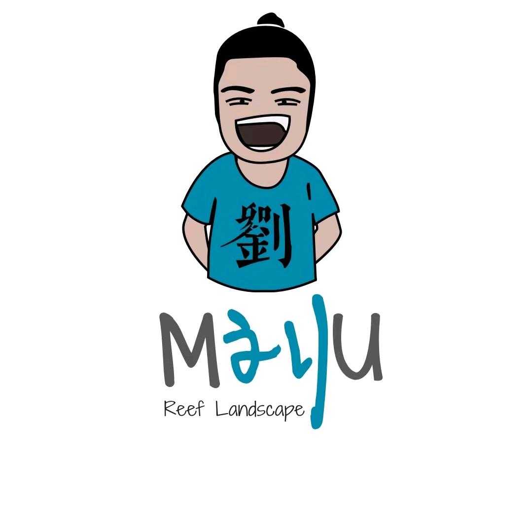 MR LIU