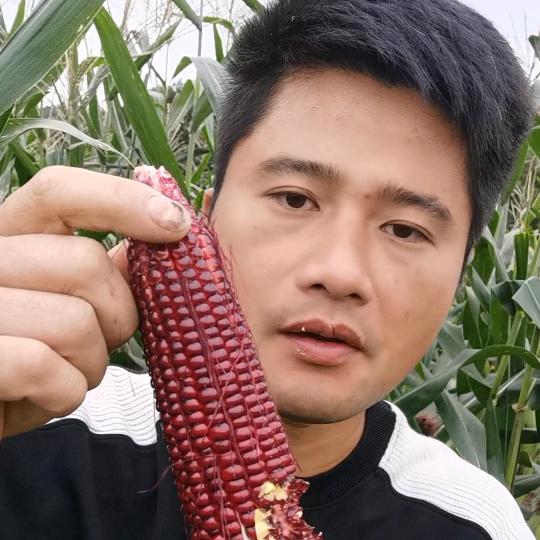 乡村涛涛哥