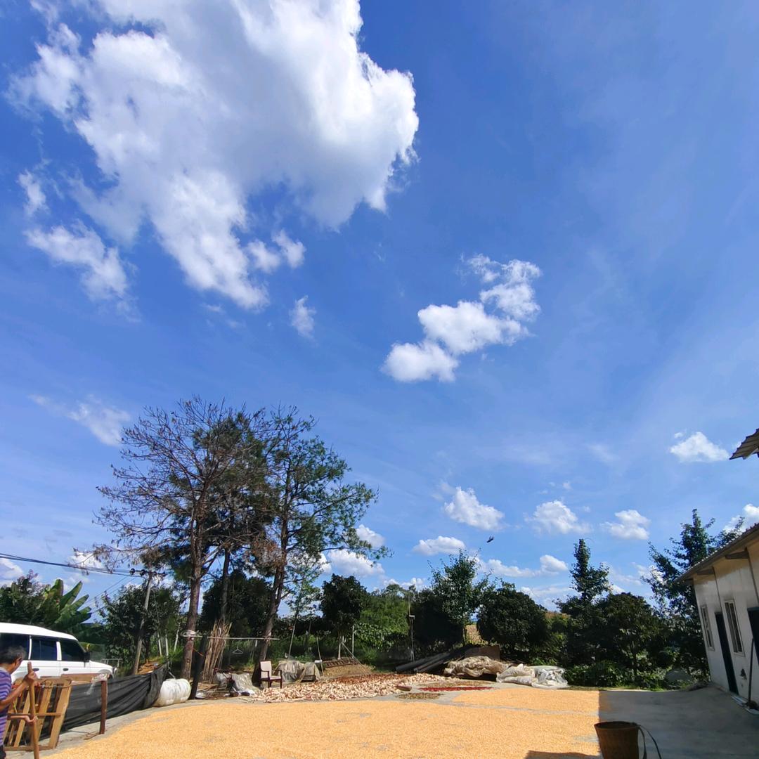 🍃一切随易100%