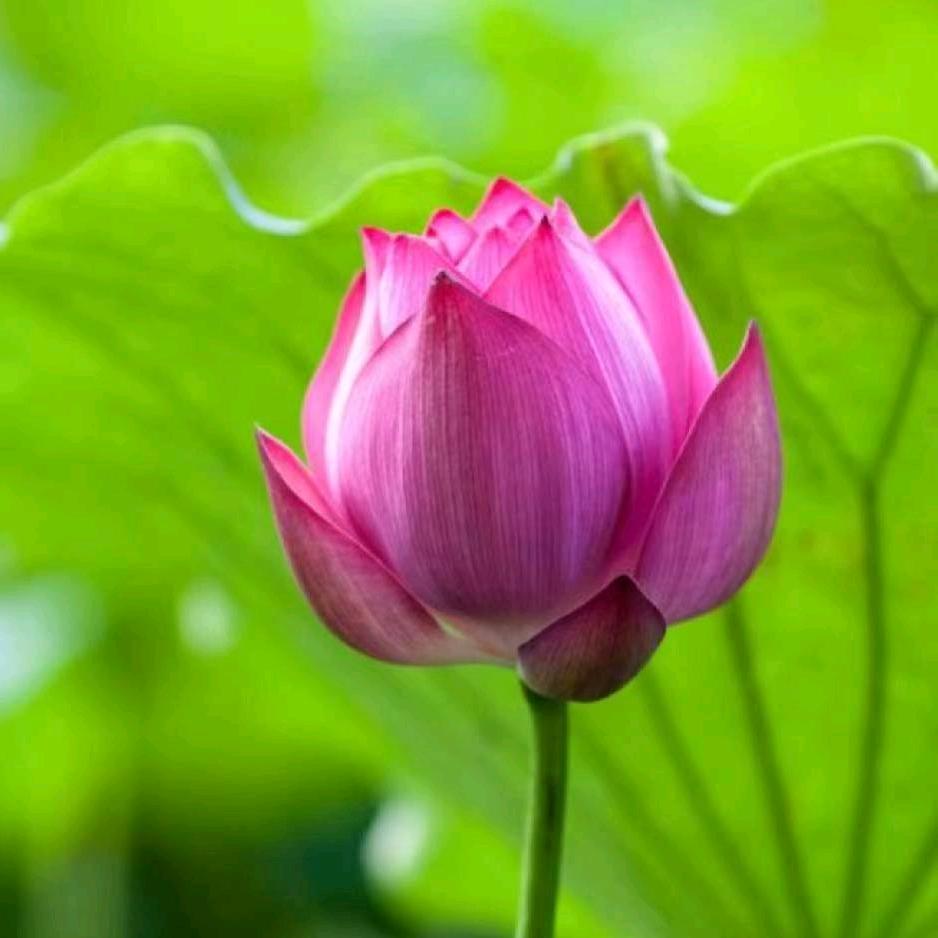 ℳღ幸运❤ ꦿ࿐