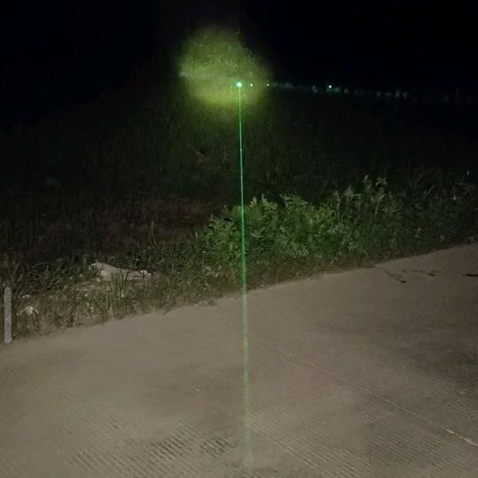 田园犬搬运工1号