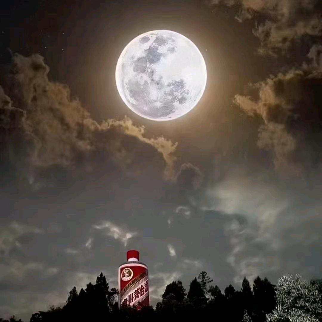 永远留在属于自己的地方