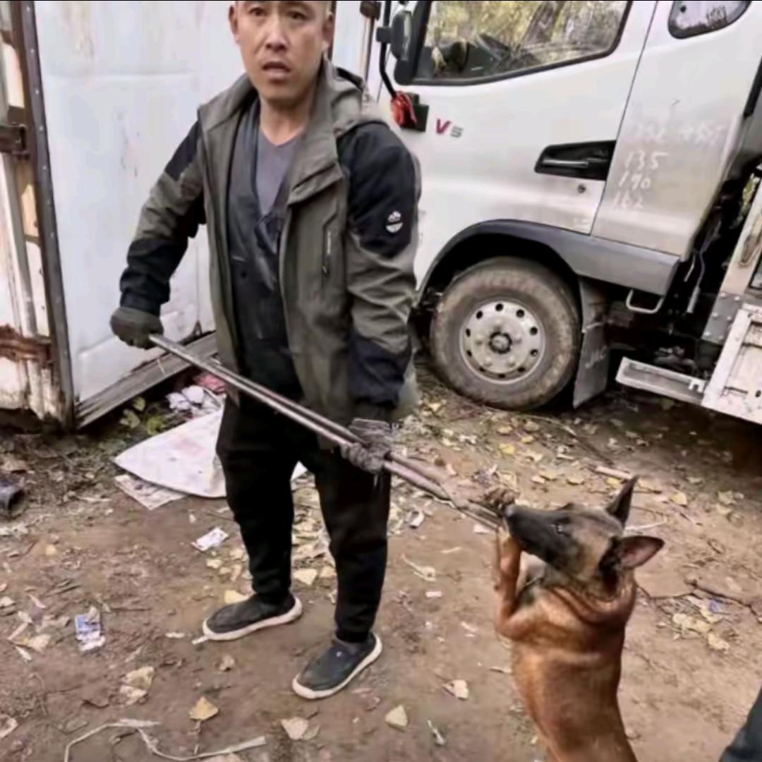 AAA专业套狗韦师傅