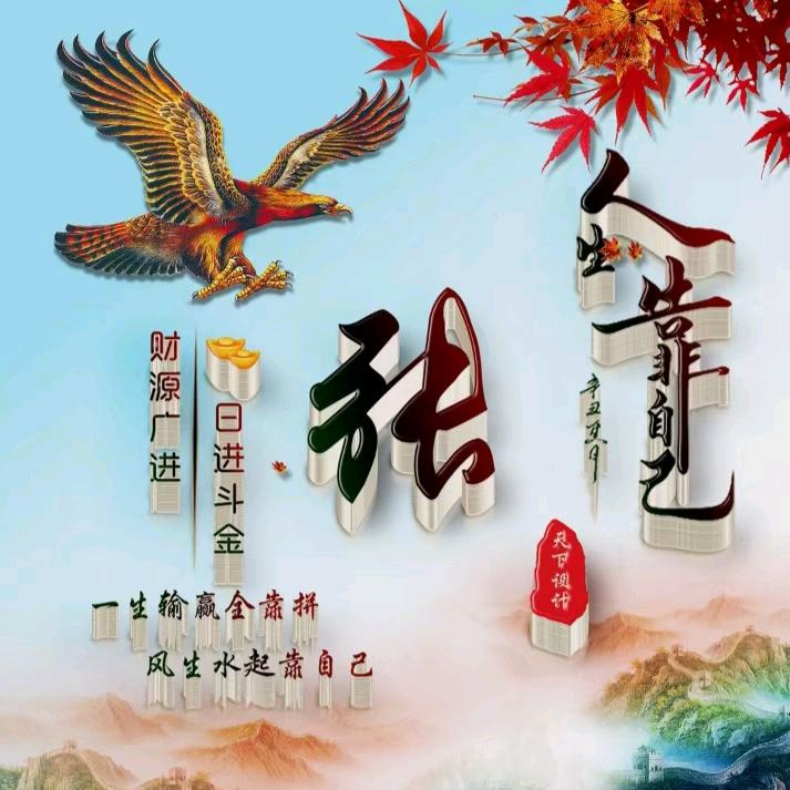 过往❤️依然潇洒
