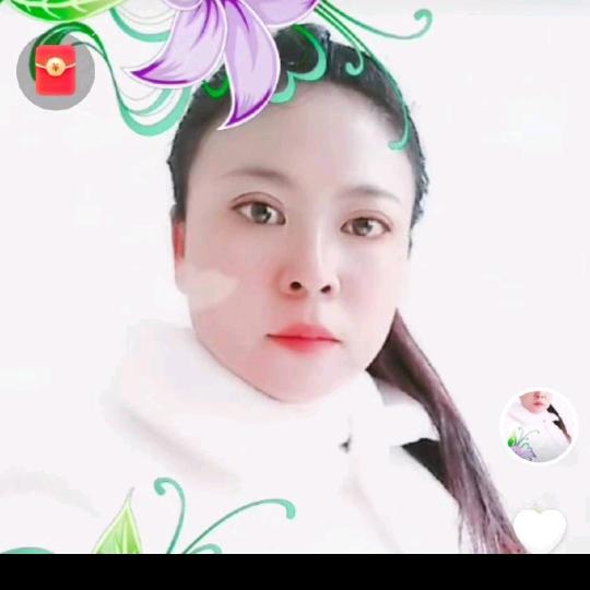 小布偶