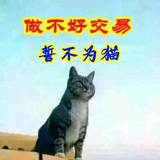 交易员老赵
