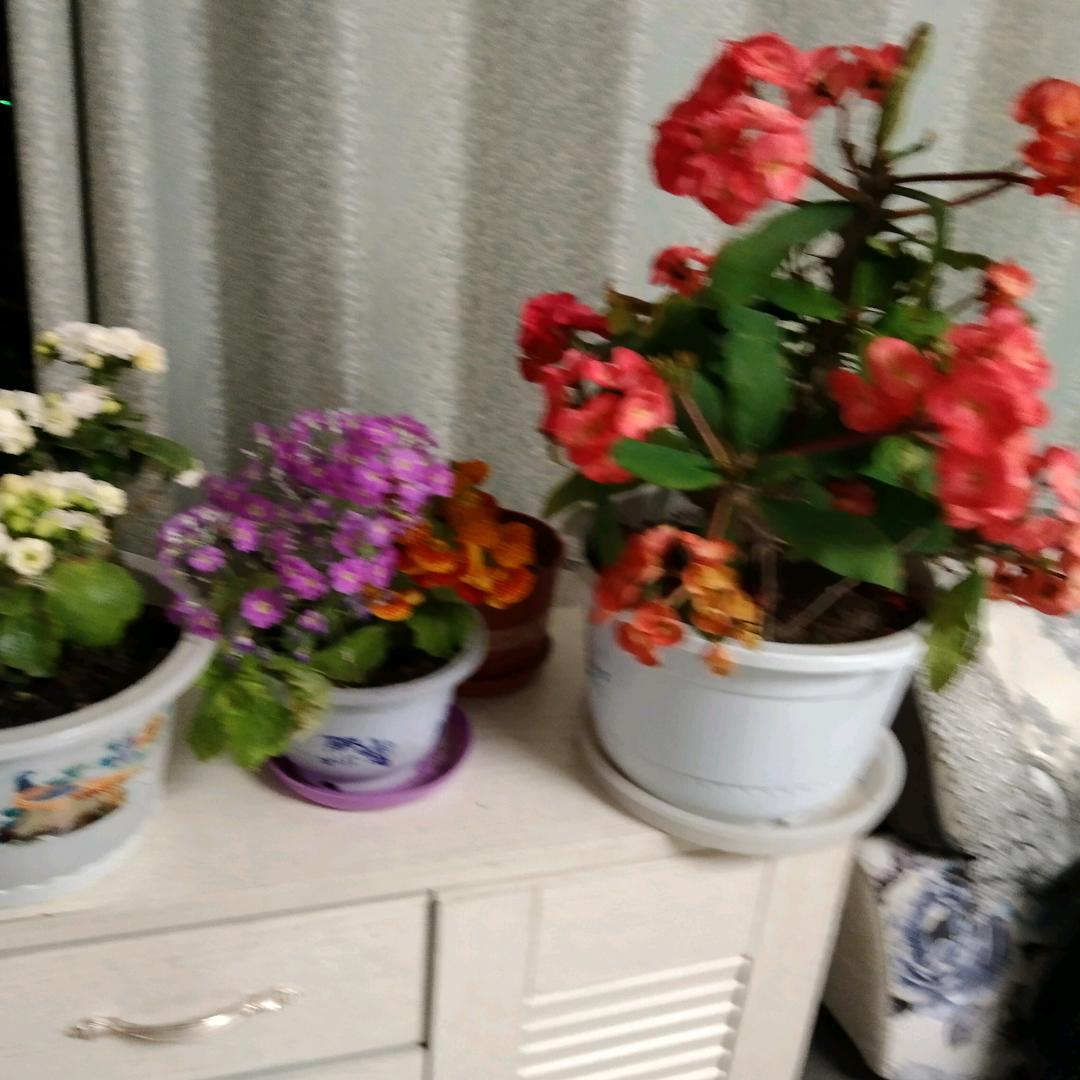 相约有你让心归零