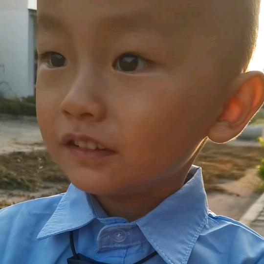 浩宇