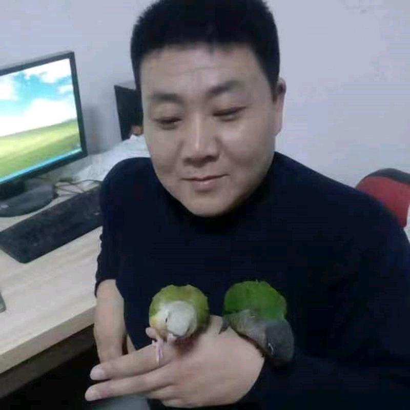 董哥鸟舍孵化基地