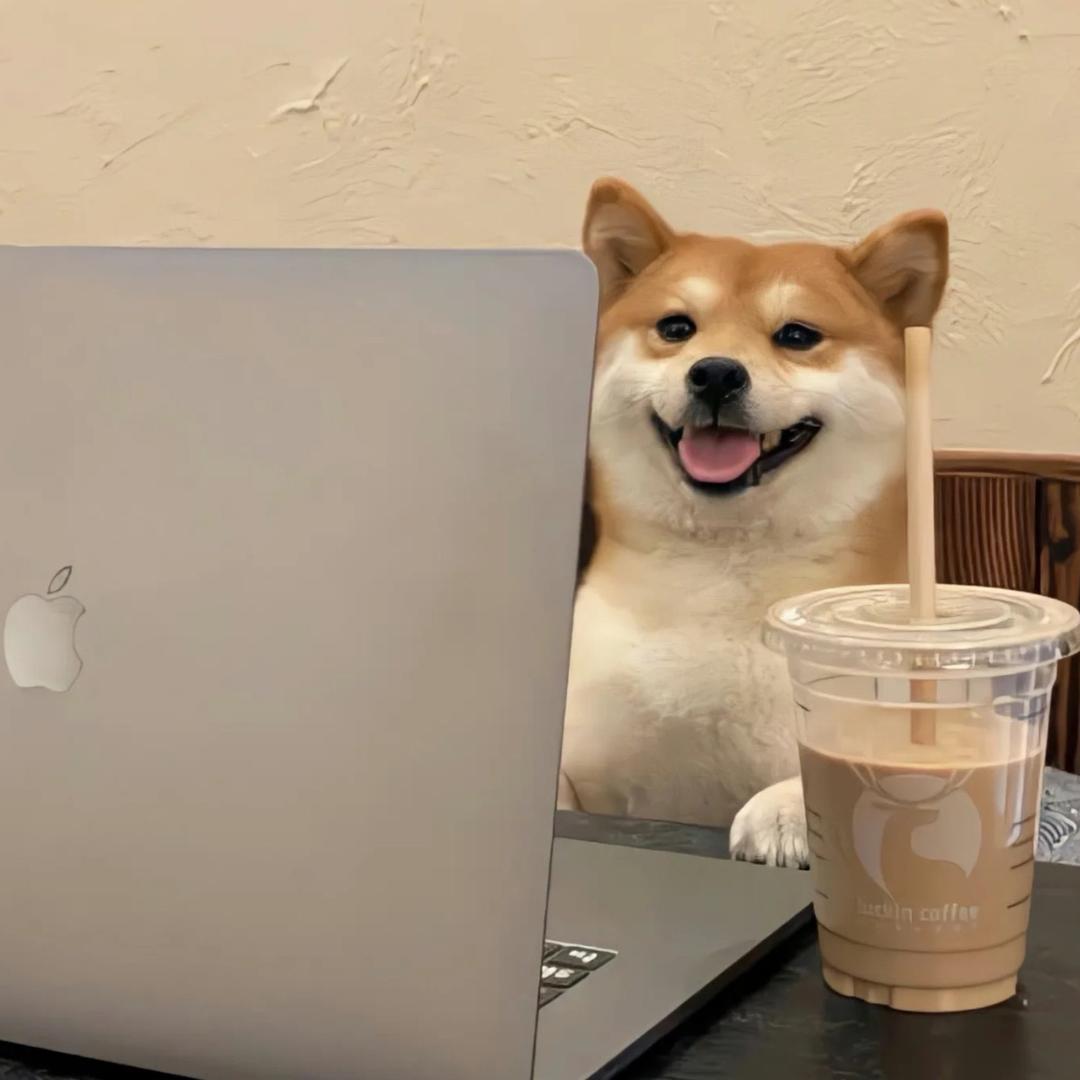 一口十个脆脆鲨