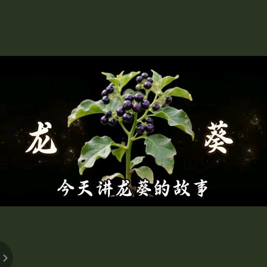 学习中医