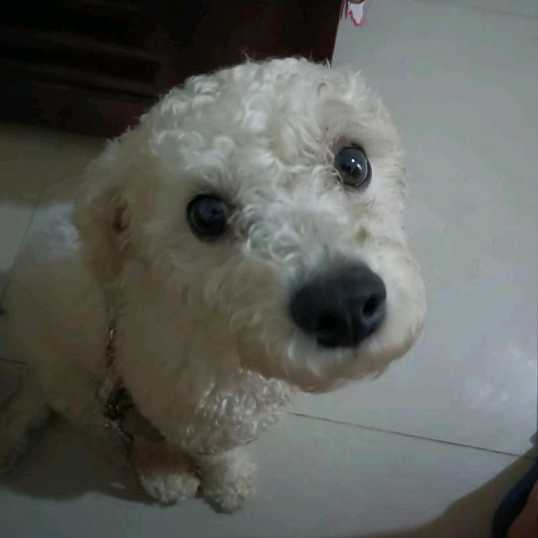 如虞(⊙o⊙)得水$_$( ⊙ o