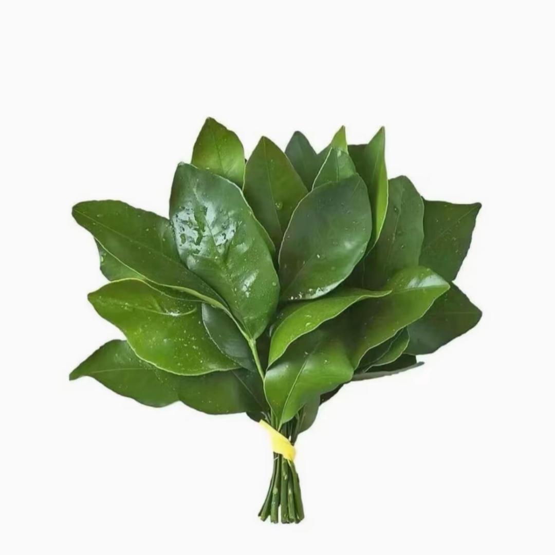 晚晚