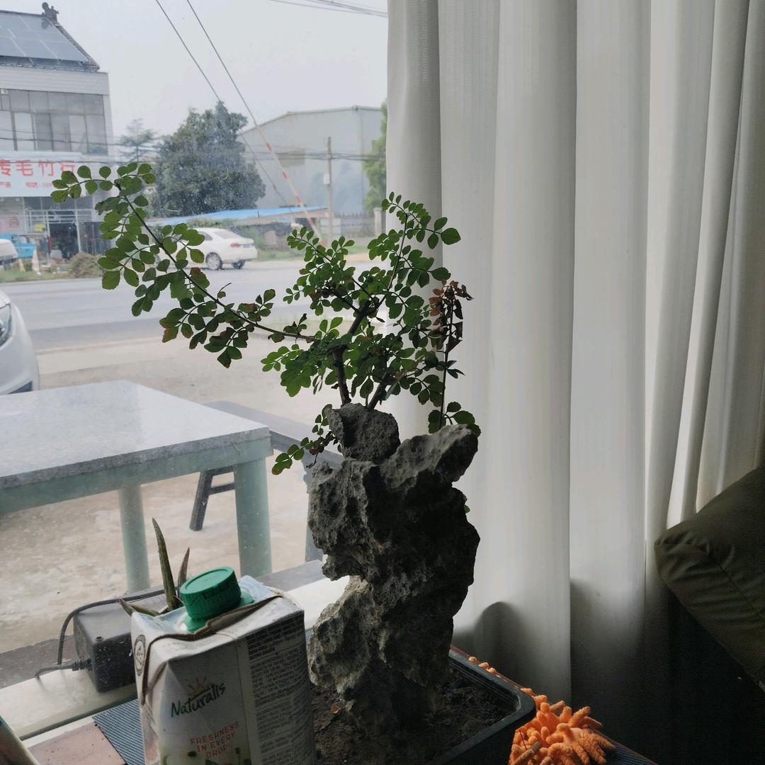 铭记诺言
