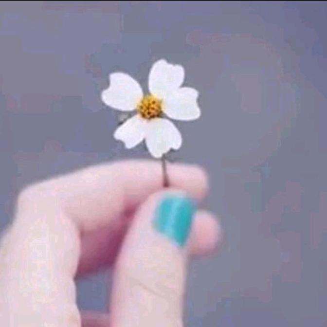 猫姑娘小五✨