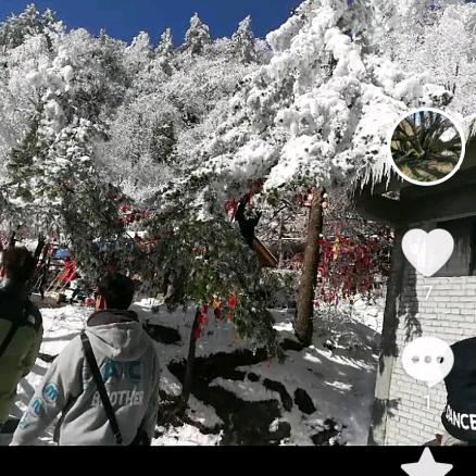 雪中的太阳