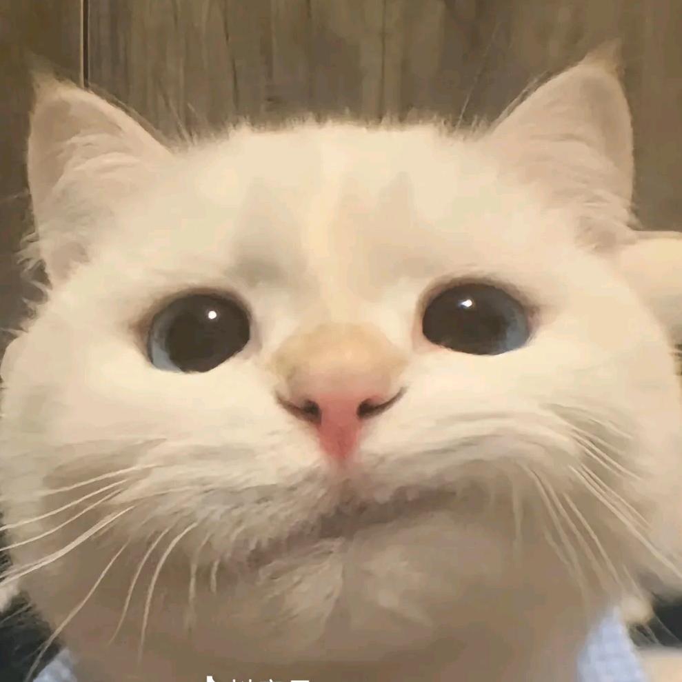 ˙ᯅ·胡咧咧💭
