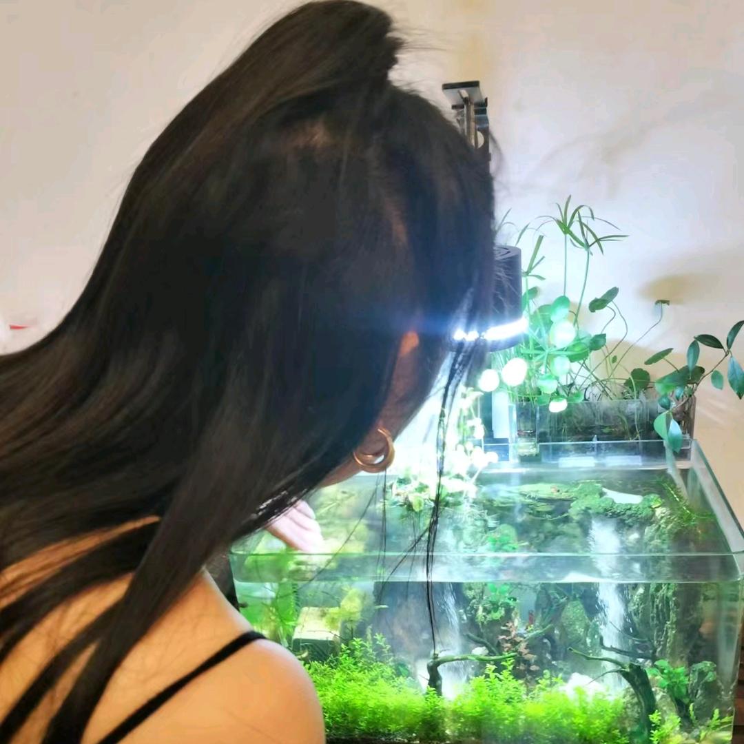 鱼多多