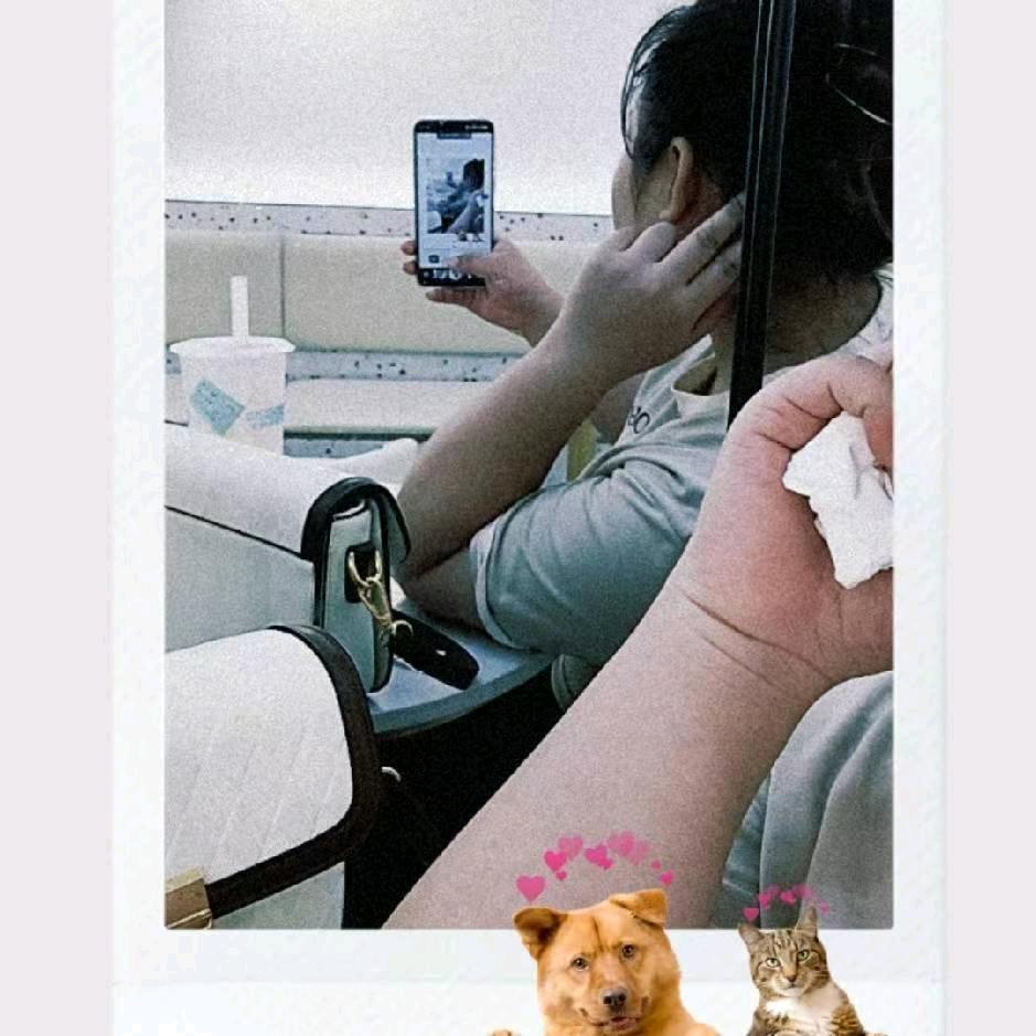 A圆团团