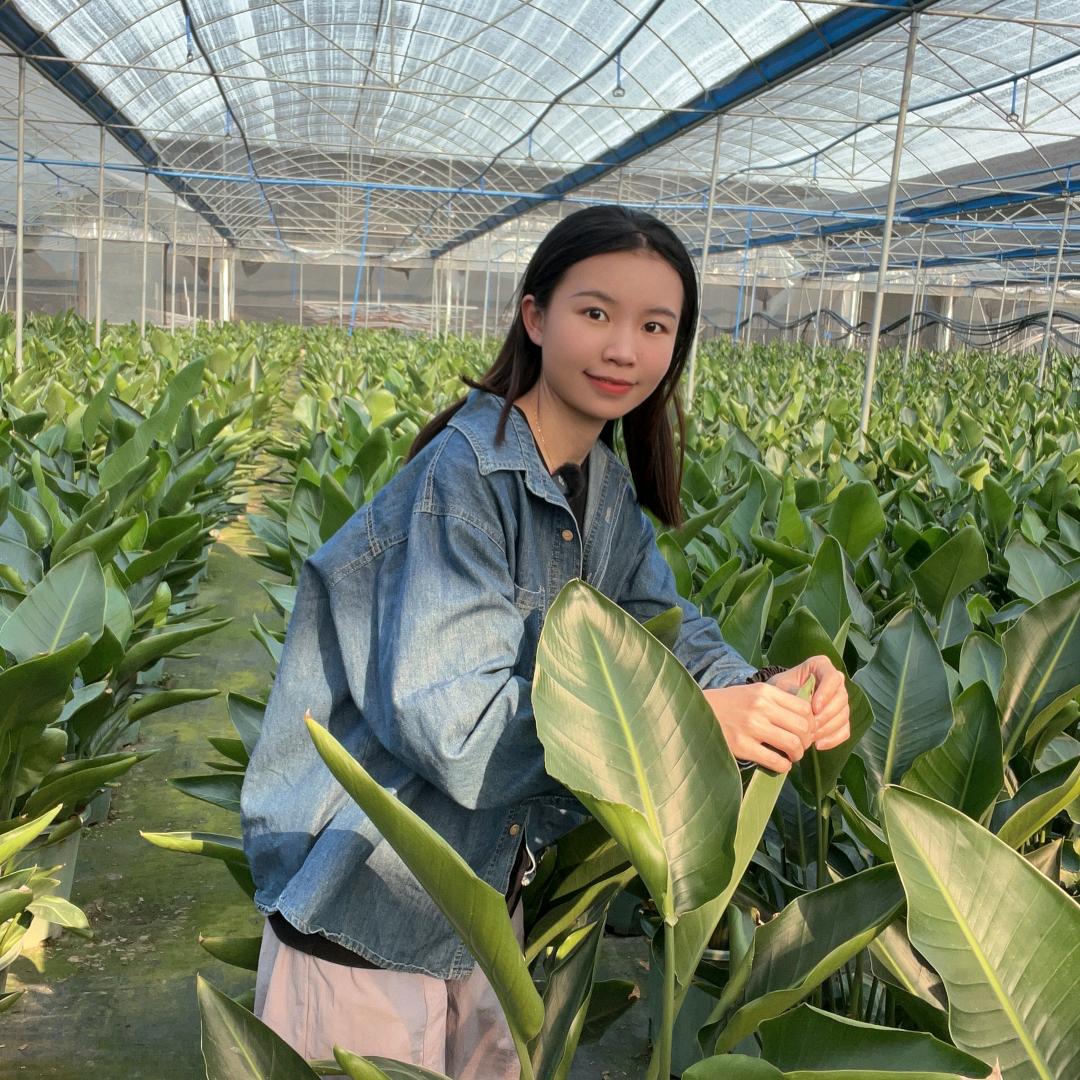 植物空间Plant Space