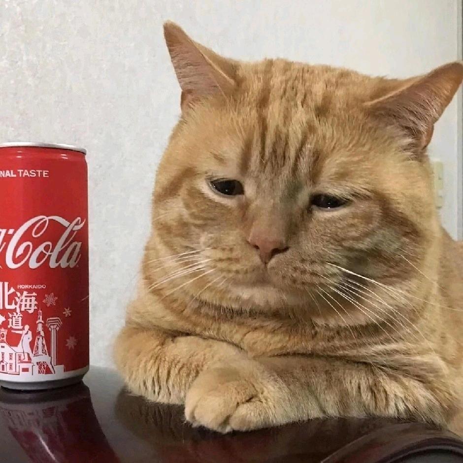老猫 （三角洲行动）
