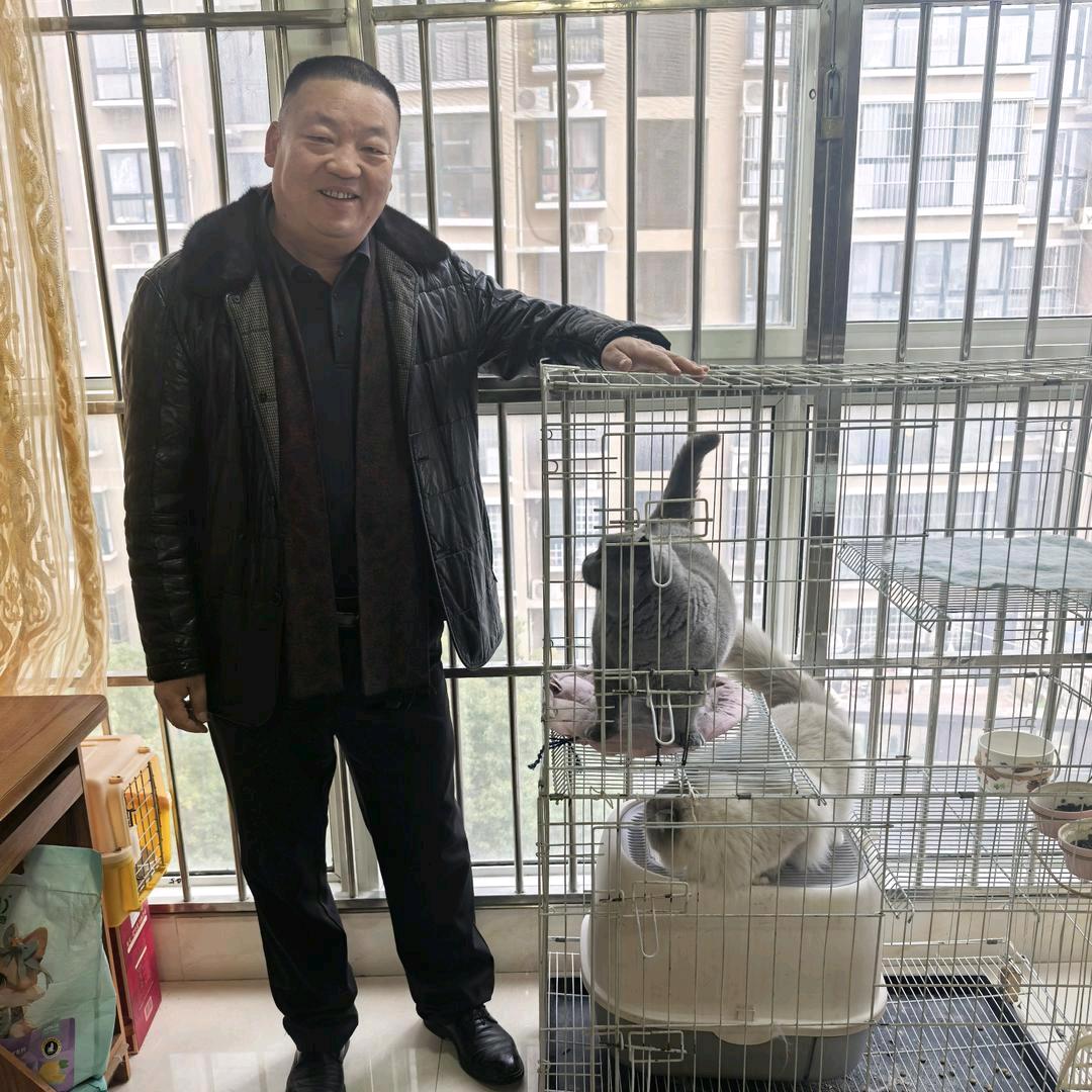 河南良哥