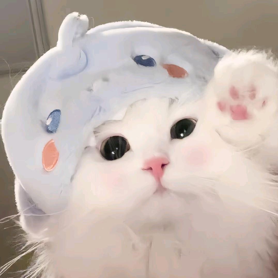 小困包✌️