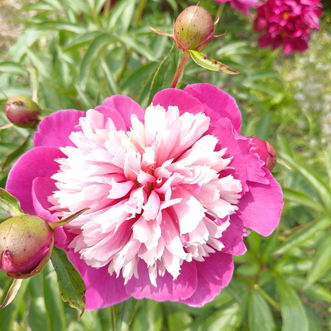 王连梅（拒绝私聊）