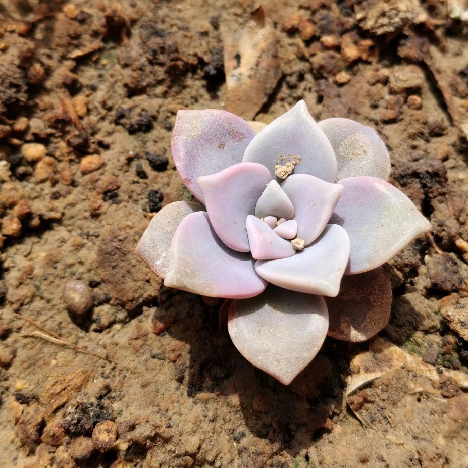 🌈🌈不会取名字🌈🌈