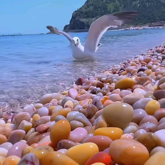 心态无悔(早上10:00开播