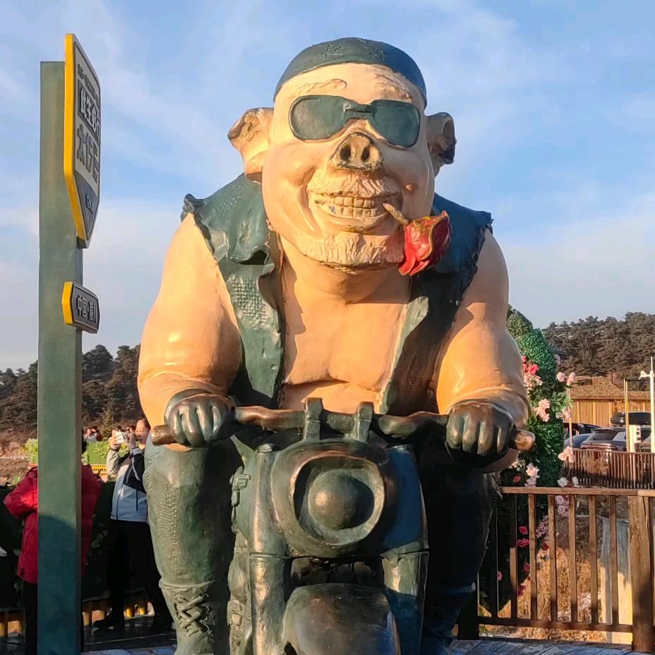 崔老大28118轮椅上的风景家