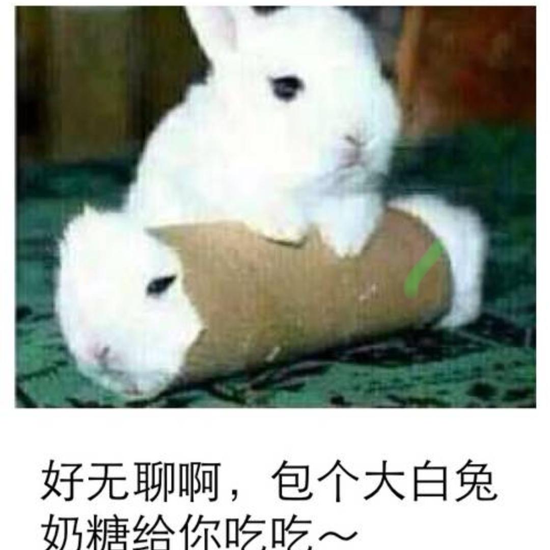 小小奶糖，轻松拿捏