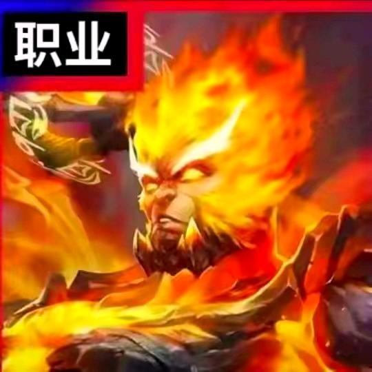 猴子大王693